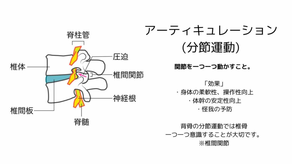 ピラティス 費用 相場